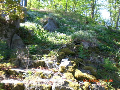 CIMG0019